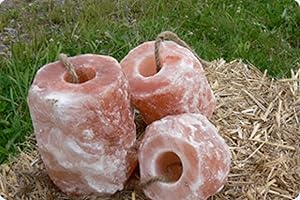 3x HIMALAYA Leckstein Salzleckstein Mineralleckstein -Premiumqualität von Biova