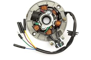 PETROLSCOOTER Stator Magneto 6 Pole 5 Wire 140cc 150cc 160cc Pit Dirt Bike YX140 150 160 Oil Cooled Engine