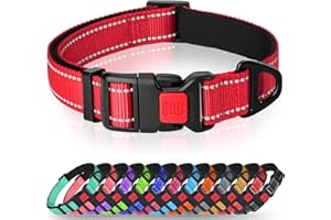 Taglory Reflective Nylon Dog Collar with Safety Buckle, Adjustable Pet Collars with Soft Neoprene Padding for Medium Dogs, Red