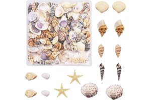 Julie Wang 200 pcs petit conque étoile de mer naturel minuscule océan coquillages bricolage miniature plage bestiole décor artisanat projets réservoir de poisson remplissage de vase