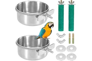 YSQEVN Tazas para Platos de Alimentación de Pájaros Comedero para Loro de Acero Inoxidable para Pájaros para Animales Pequeños Pinzones Periquito