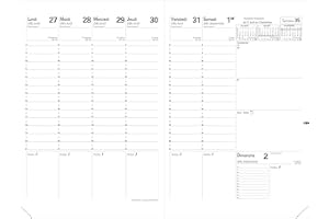 QUO VADIS - Recharge 16 mois - 2025-2026 - Planning SD - Semainier Planning - Français - 16 mois septembre-décembre - 18x24cm - Papier blanc