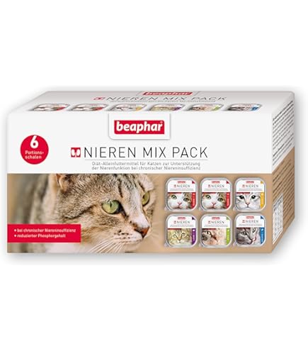 Royal Canin Renal Special Katze Trockenfutter - Bei chronischer  Niereninsuffizienz 1x500g : Amazon.de: Haustier