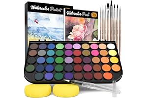 Nicpro Acuarelas Profesionales, 48 Colores en Caja Portátil, con Pincel de Agua, 8 pinceles, 25 papel de pintura, esponja, Kit Acuarelas Perfecto para Profesionales, Principiantes