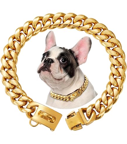 Goldenes Hundehalsband Aus Metall Mit Zirkonia – Elegant & Sicher