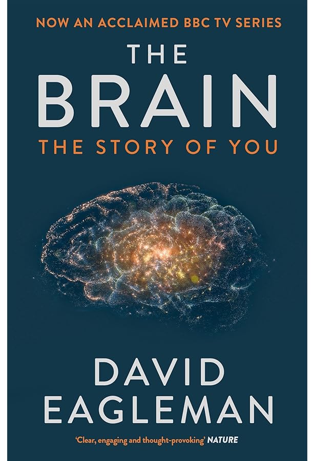 Buy The Brain Code: Using neuroscience to improve learning, memory