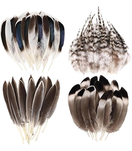 Veren voor doe-het-zelf knutselen, 100 stuks fazant veer haan veer 4,9-3,9 inch kleurrijke veren decoratie ornament dromenvanger sieraden maken bruiloft woondecoratie veren accessoires