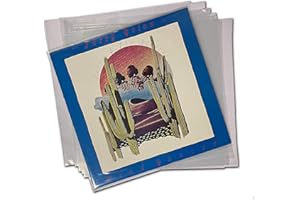 CUIDATUMUSICA 25 Fundas DE PLASTICO para Proteger Discos DE Vinilo (Los Discos Grandes) LP Grosor ESTANDAR- Marca Cuida Tu Musica - / Ref.4205