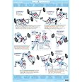 Bodybuilding, Weight Training Exercise Chart Series (A1 Laminated, Chest Muscles Exercise Chart)