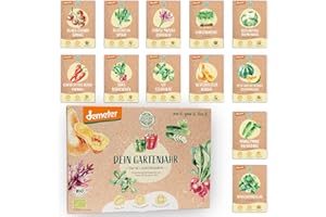 BIO Gartenjahr Gemüse Samen Set - 12 Sorten Demeter Gemüse Saatgut für das ganze Jahr | Seltene u. alte Gemüsesamen allesamt samenfest | Für Balkon, Hochbeet, Garten & als Geschenk | Loveplants