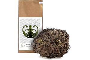 YAKEBA | Rose de Jericho | Selaginella lepidophylla | Grand sac en papier I Plante d'intérieur parfaite comme décoration ou terrarium/accessoire de jardin en bouteille