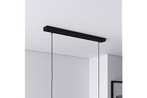 ‎LIGHTSTOCK Baldachin für Lampe Rechteckig, Abzweigdose mit 2 Kabelauslässen (L 50 x H 2.5 x B 5 cm), SCHWARZ - ideal für Esstisch, inkl. WAGO-Klemmen