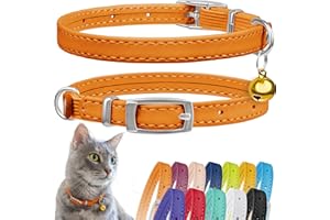 CollarDirect Collar de piel para gato con campana extraíble, collar de seguridad para gatito con correa elástica (naranja, 15-18 cm)
