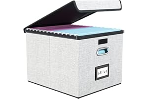 FINEW Scatola portaoggetti pieghevole in tessuto con coperchio, per cartelle sospese, formato DIN A4, scatole per ufficio, scatola pieghevole per famiglie (bianco)