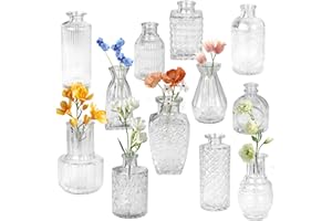 LIAILA Set di 12 vasi in Vasetti vetro piccoli, Vasetti vetro decorative da scrivania multiforme, mini vasi vintage in rilievo, adatti per composizioni floreali, tavoli da pranzo, soggiorni decorazioni