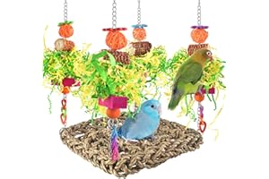 Parrot Toys, ERKOON Cockatiel toys, Budgie toys, Parrot Swing Chewing Toy for Conures, Cockatiel, African Grey Parrots, Cockatoos (Green)