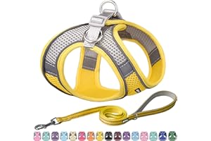AIITLE Step in Hundegeschirr und Leine Set - Ziehfreies, fluchtsicheres Westengeschirr mit reflektierenden Bändern, verstellbares Hundegeschirr für kleine und mittlere Hunde Gelb M