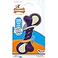 Nylabone Puppy Double Action Dog Chew Toy, L