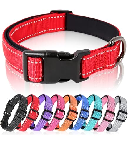 Ferplast Club Reflex Hundehalsband – Reflektierend, Nylon, Magnetschnalle, Größe C15/44, Rot