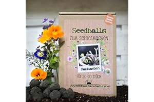 EPICING Seedball Baukasten