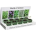 pronto seed - Herbs Grow kit 100% Recyclable 5 Varieties to Grow Your Own Kit from Seed Eco Gifts Made with 100% Recyclable M