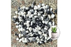 EESTECK 2LB Decorative Garden Pebbles, Black Grey and White Mixed, Natural Stone Rocks for Landscaping, Potted Plants, Vases, Aquariums, Terrarium and Outdoor Gardening