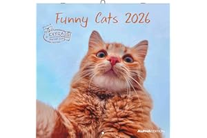 Funny Cats 2026 - Broschürenkalender 30x30 cm (30x60 geöffnet) - Kalender mit Platz für Notizen - Katzen - Bildkalender - Wandplaner - Katzenkalender