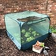 GardenSkill Pop Up Fruit and Vegetable Cage Grow-House - Plant Crop Protection Bird Net Cover Cloche (1m x 0.75m high)