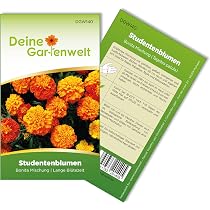 Ringelblume 'Gitana-Mischung' Samen – Einjährig, Farbmix Gelb Bis Orange, Calendula Officinalis