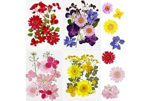 Cayway 48 sztuk suszonych kwiatów z żywicy naturalne prasowane suszone kwiaty suszone kwiaty kolorowe suszone kwiaty prasowane naturalne suszone kwiaty do świec DIY biżuteria żywica udział