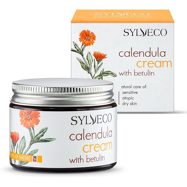 Sylveco Sanddorncreme Mit Birke – Hypoallergene Pflege Für Sensible Haut, 50 Ml