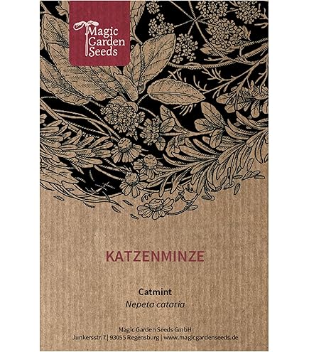 Agératum - Mélange - Ageratum Houstonianum - Teintes Délicates