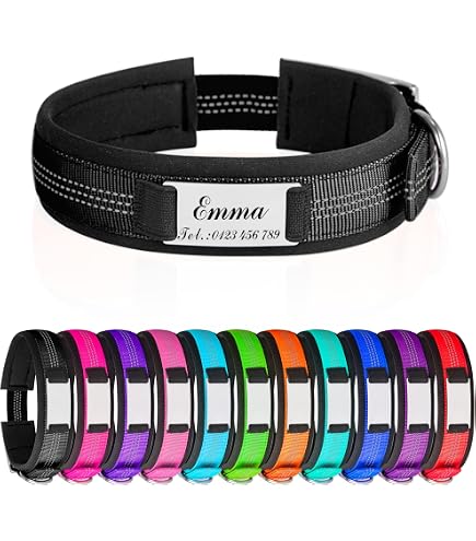 Reflektierendes Hundehalsband Personalisiert – Mit Namensgravur, Verstellbar, Wasserabweisend (6 Größen)