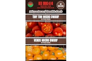 RED DRAGON SEEDS Micro Dwarf Double Pack Tomato Seeds – 40 Fresh Seeds