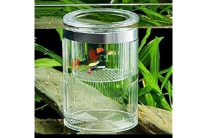 FGXY Cilindro Caja De Cría De Peces De Acuario, Caja De Incubadora De Cría De PláStico Flotante, Cría De Peces De Doble Capa Incubadora, Crianza Y Crianza para la cría de alevines
