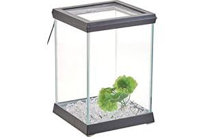 Ocean Free AT619A Kit Betta Space LED, Schwarz