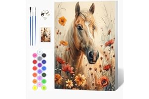 Auremi Cheval Fleurs Peinture par numéros 20x30 avec cadre–Animaux Peinture par numéros adulte facile–Kit cadeau créatif pour–Tableau DIY détente à peindre