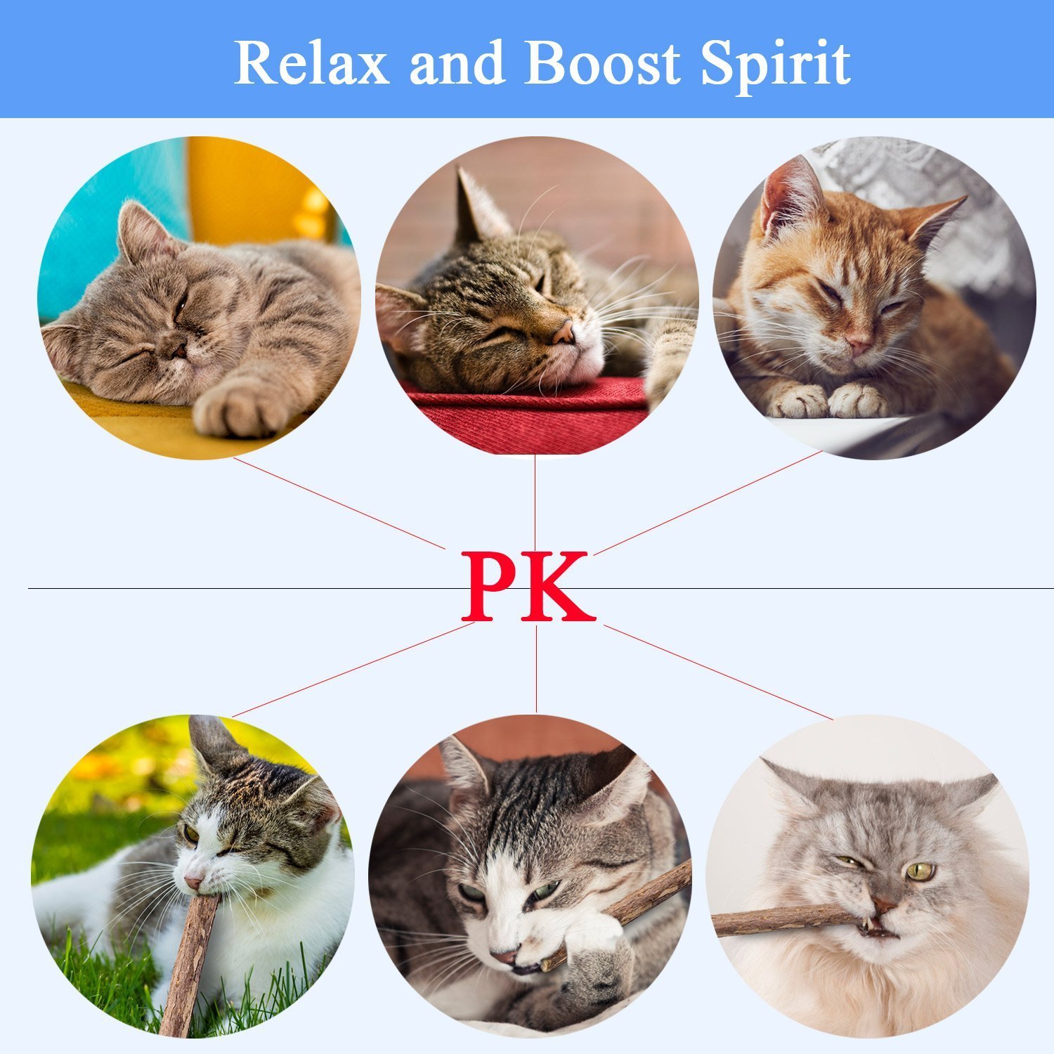 AIDIYA-Cat-Herbe--Chat-Btons-100-Bio-Naturel-Matatabi-Dentaire-friandises-de-Dents--mcher-Jouets-Olfactive-Enrichissement-pour-Chat-Lot-de-20-pcs