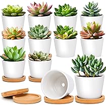 Fioriera per piante Set 3 pz Vasi da esterno per fiori cassetta portafiori fioriere da giardino