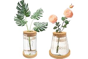 Dormercy 2Pcs Plants Propagation Station, Desktop Glass Planter Terrarium Vase with Wooden Lid&Tray, Plant Lover Gift (Hammer&Plain Glass)