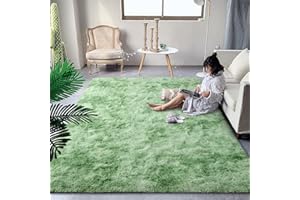 DweIke Fluffy Modern Area Rugs for Living Room Bedroom, 4x6 ft Plush High Pile Rug for Kids Girls Room Nursery Home Decor, Upgrade Non-Slip Girls Bedroom Soft Indoor Rug, Tie-Dyed Light Green