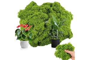 TAIXING 200g Musgo Artificial, Musgo Decorativos Imitados Musgo Natural, Verde Claro Simulación de Musgo para Decoración de Plantas en Macetas, Paisaje Interior, Jardín y Manualidades, Inodoro