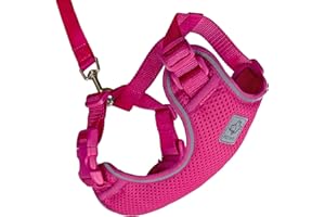 RC Pet Products Adventure Kitty Harness, Cat Walking Harness, Medium, Raspberry (53804014)