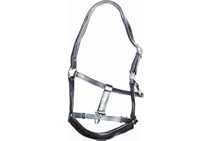 The Ragnar Collection Padded Leather Headcollar-Excellent Quality. Black & Havana in Pony,Cob & Full - FREE UK DELIVERY (BLACK, FULL)