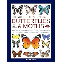 Buy Butterflies of the World Book Online at Low Prices in