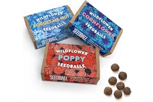 SEEDBALL Wildflower Seed Bombs Poppy, Cornflower & Forget-Me-Not Seeds Mix (Pack of 3, 6 Balls per Box) | Eco Friendly British Wild Flower Seed Mix - Gardening Gift for Bees, Birds & Garden Wildlife