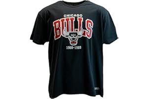 Mitchell & Ness NBA Hardwood Classics Team Arch Shirt