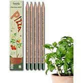 Sprout World Plantable Pencils Pizza Edition, Pack of 5 Sustainable Gift | Thyme, Basil, Oregano, Arugula and Cherry Tomato,