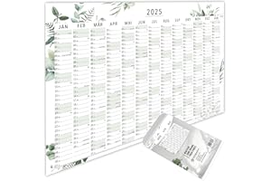 heaven+paper Planer roczny na rok 2025, A1, kalendarz ścienny 2025, duży, złożony (+ 80 x 60 cm), eukaliptus greenery, 13 miesięcy, kalendarz ścienny 2025, planer ścienny w formacie poziomym z dniami