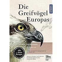 Die Eulen Europas: Biologie, Kennzeichen, Bestände